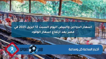 أسعار الدواجن والبيض اليوم السبت 12 إبريل 2025 في مصر بعد ارتفاع أسعار الوقود